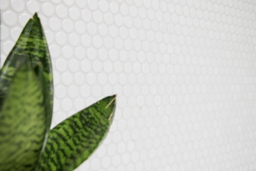 Pulsante mosaico LOOP mosaico rotondo bianco opaco parete cucina doccia BAD MOS10-0111_f | 10 tappetini mosaico