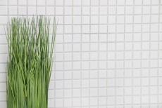 Ceramica mosaico piastrelle bianco lucido cucina parete doccia piscina MOS18-0102