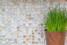 Mosaico in madreperla Mosaico a conchiglia bianco beige chiaro doccia a parete MOS150-SM203