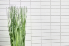Piastrelle a mosaico in ceramica aste bianche lucide backsplash cucina MOS24-0102_f