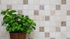 Piastrella a mosaico backsplash Travertino pietra naturale beige marrone Chiaro + Noche Travertino MOS43-1216_f