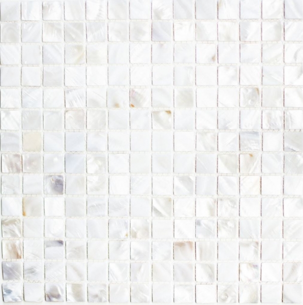 Mosaico in madreperla Mosaico a conchiglia bianco crema Schermo doccia MOS150-SM201