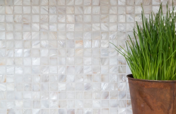 Mosaico in madreperla Mosaico a conchiglia bianco crema Schermo doccia MOS150-SM201