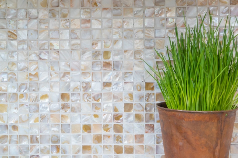 Mosaico in madreperla Mosaico a conchiglia bianco beige chiaro doccia a parete MOS150-SM203