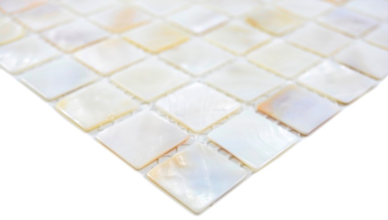 Mosaico di madreperla Mosaico di conchiglie bianco beige Schermo doccia MOS150-SM2525