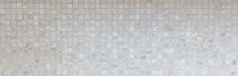 Mosaico di madreperla Mosaico di conchiglie bianco beige Schermo doccia MOS150-SM2525