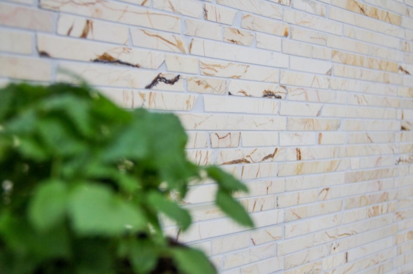 Piastrella di mosaico Marmo pietra naturale Mattone dorato crema struttura lucida MOS40B-2807_f