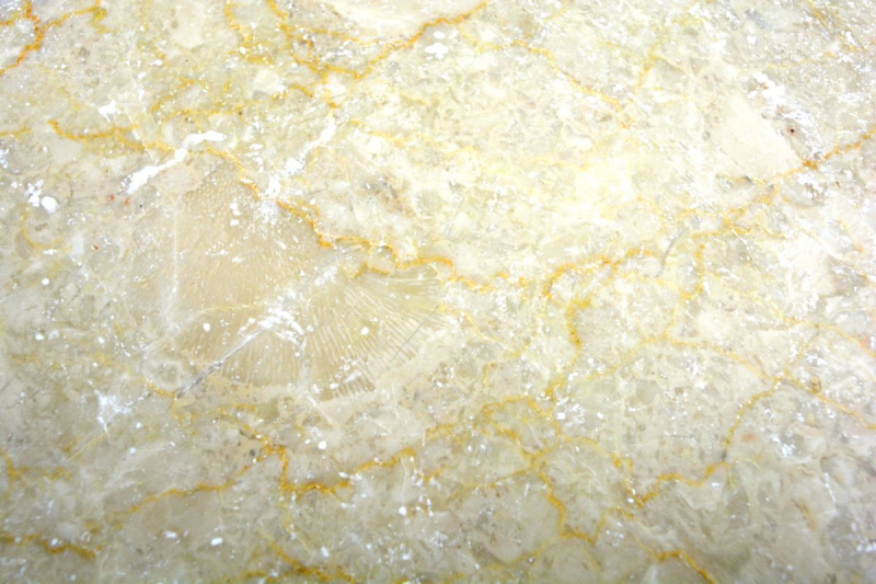 Piastrella marmo pietra naturale Botticino avorio crema bianco pietra naturale piastrella aspetto antico pavimento piastrella cucina piastrella muro bagno - MOSF-45-46147
