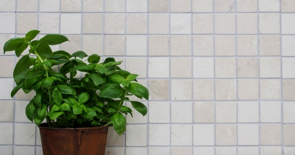 Piastrella di mosaico dipinta a mano marmo pietra naturale avorio Marmo Botticino Antico MOS36-0106_m