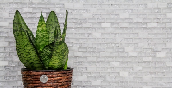 Piastrella di mosaico dipinta a mano Backsplash di piastrelle Bianco traslucido Brick Mosaico di vetro Pietra di cristallo bianco MOS87-0111_m
