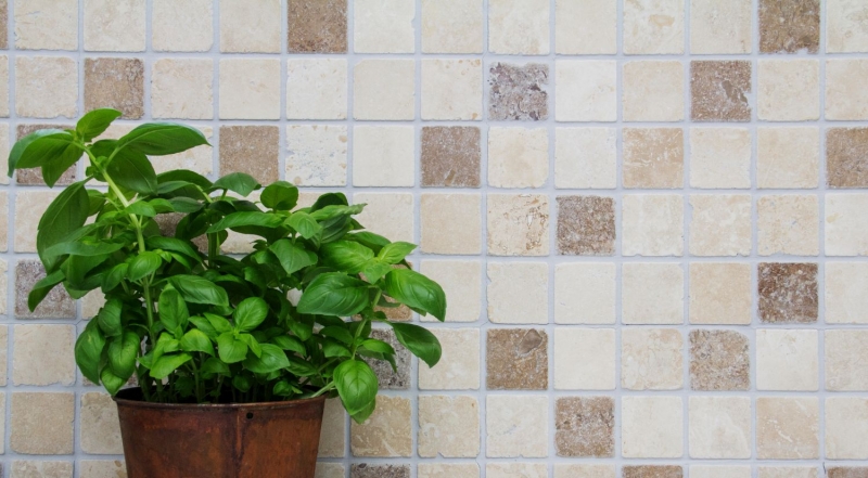 Campione a mano di mosaico per cucina Travertino pietra naturale beige marrone Chiaro + Noche Travertino MOS43-1216_m