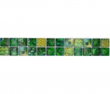 Bordo a mosaico Bordo in vetro a mosaico animale mondo pavone verde scuro verde chiaro giallo MOS68BOR-WL84
