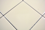 Piastrella a mosaico con motivo a mano ceramica beige lucido piastrella bagno WC MOS23-1201_m