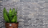 Piastrella di mosaico dipinta a mano marmo pietra naturale nero Brick Nero Marquina MOS40-0125_m