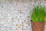Alzatina a conchiglia in mosaico beige chiaro MOS150-SM203_f