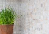 Conchiglia mosaico madreperla bianco beige backsplash cucina MOS150-SM2525_f